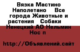 Вязка Мастино Наполетано  - Все города Животные и растения » Собаки   . Ненецкий АО,Нельмин Нос п.